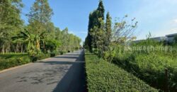 ที่ดินเปล่า 7-1-20 ไร่ อ่อนนุช 88/1 ประเวศ