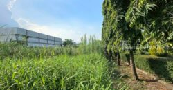 ที่ดินเปล่า 7-1-20 ไร่ อ่อนนุช 88/1 ประเวศ