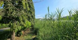 ที่ดินเปล่า 7-1-20 ไร่ อ่อนนุช 88/1 ประเวศ