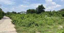 ขายที่ดินผังสีเขียว 6-1-31.7 ไร่ ใกล้ถนนมิตรภาพ โคราช วิวธรรมชาติ เหมาะทำบ้านสวน/เกษตร