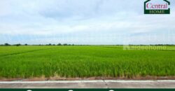 ที่ดินเปล่า 6-1-89 ไร่ คลองนิยมยาตรา บางบ่อ สมุทรปราการ