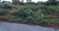 ขายที่ดินผังสีเขียว 6-1-31.7 ไร่ ใกล้ถนนมิตรภาพ โคราช วิวธรรมชาติ เหมาะทำบ้านสวน/เกษตร