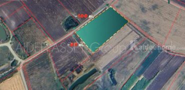 ที่ดิน วังไทร ปากช่อง ใกล้ เขาใหญ่ วังน้ำเขียว ราคาถูก