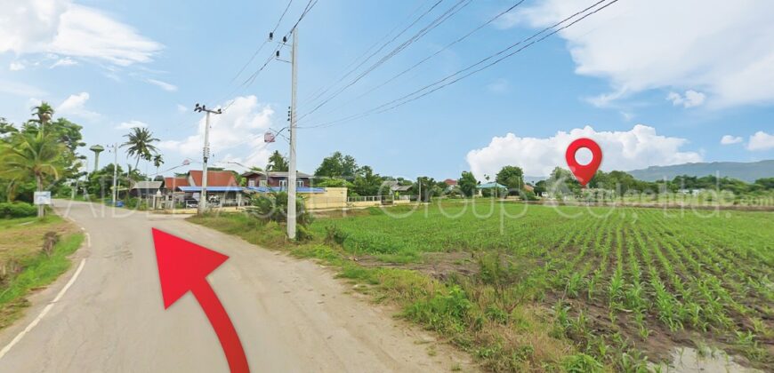 ที่ดิน วังไทร ปากช่อง ใกล้ เขาใหญ่ วังน้ำเขียว ราคาถูก