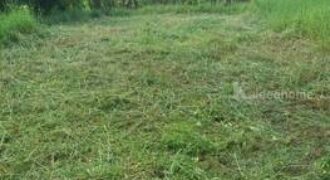 ขายด่วน ที่ดินเปล่าถมเล้ว ติดถนนสาธารณะ หลังมหาวิทยาลัยราชมงคลคลอง 6 ธัญบุรี โทร 094-697-8986