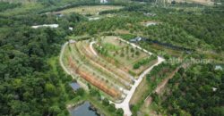 สวนทุเรียนขั้นบันได บ้านตากอากาศบนเขา พร้อมโฉนด! วิวหลักล้าน 11ไร่ อ.มะขาม จันทบุรี โทร 0830132000