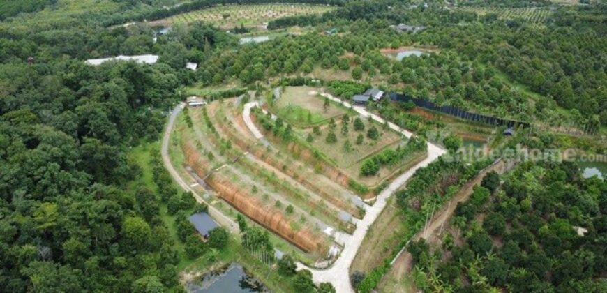 สวนทุเรียนขั้นบันได บ้านตากอากาศบนเขา พร้อมโฉนด! วิวหลักล้าน 11ไร่ อ.มะขาม จันทบุรี โทร 0830132000