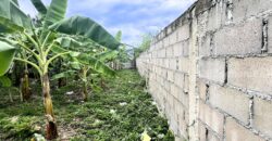 ขายที่ดินหัวหิน หินเหล็กไฟ 105 ตร.ว. หมู่บ้านภูนภา ราคาถูกมาก