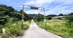 ขายที่ดินหัวหิน หินเหล็กไฟ 105 ตร.ว. หมู่บ้านภูนภา ราคาถูกมาก