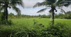 ขายที่ดินเปล่าสวยบรรยากาศดี อำเภอเมือง ตราด 3-3-89 ไร่