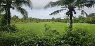 ขายที่ดินเปล่าสวยบรรยากาศดี อำเภอเมือง ตราด 3-3-89 ไร่