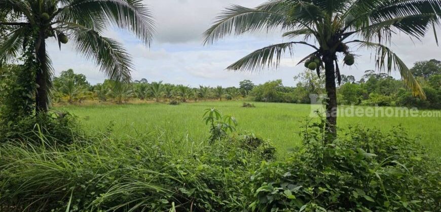 ขายที่ดินเปล่าสวยบรรยากาศดี อำเภอเมือง ตราด 3-3-89 ไร่