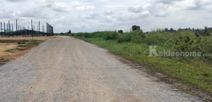 ขายที่ดิน ถ.5010 ไทรน้อย นนทบุรี มี 25 แปลง 1- 2.5 ไร่ เหมาะทำ โรงงาน โกดัง ศูนย์กระจายสินค้า ที่พัก ใกล้ อบต.หนองเพรางาย