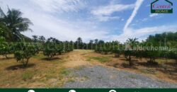 ที่ดินเปล่า 1 ไร่ 2 งาน สามพราน – นครปฐม ราคาถูก