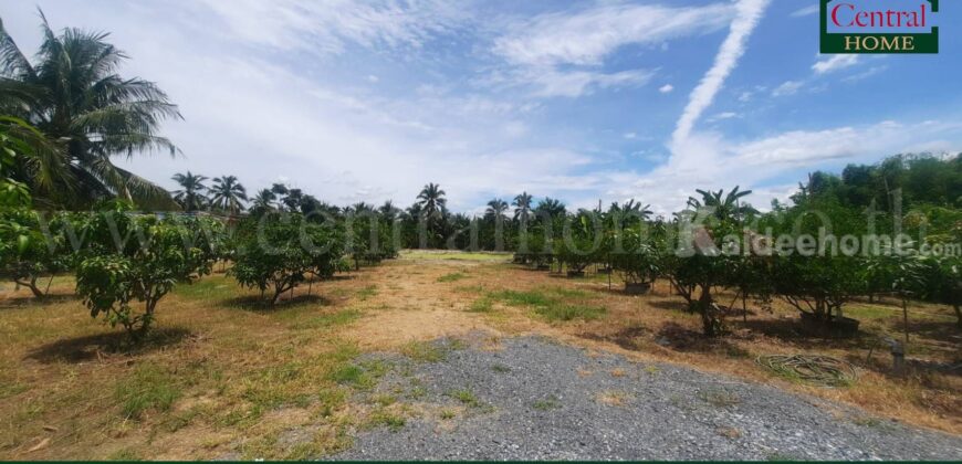 ที่ดินเปล่า 1 ไร่ 2 งาน สามพราน – นครปฐม ราคาถูก