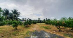 ที่ดินเปล่า 1 ไร่ 2 งาน สามพราน – นครปฐม ราคาถูก