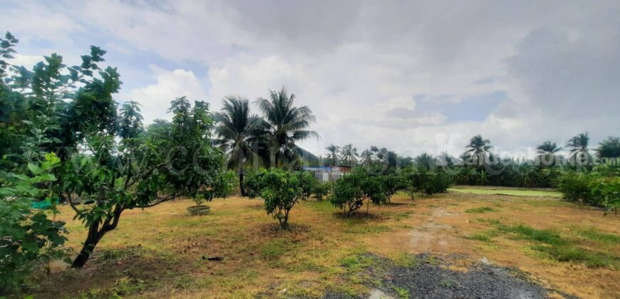 ที่ดินเปล่า 1 ไร่ 2 งาน สามพราน – นครปฐม ราคาถูก