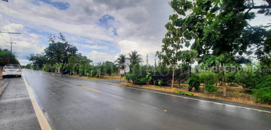 ที่ดินเปล่า 1 ไร่ 2 งาน สามพราน – นครปฐม ราคาถูก