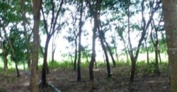 ที่ดินแปลงใหญ่ พร้อมสวนยาง อำเภอสอยดาว จันทบุรี 58-3-30 ไร่
