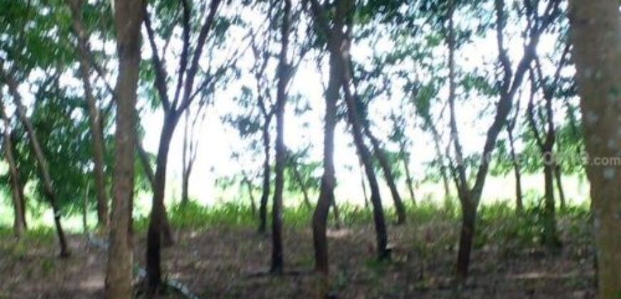 ที่ดินแปลงใหญ่ พร้อมสวนยาง อำเภอสอยดาว จันทบุรี 58-3-30 ไร่
