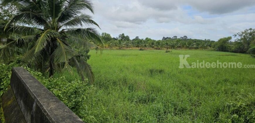 ขายที่ดินเปล่าสวยบรรยากาศดี อำเภอเมือง ตราด 3-3-89 ไร่