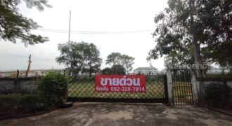 ที่ดิน ที่ดิน 1 ไร่ 50 วา ลำลูกกาคลอง 2 คูคต ปทุมธานี ขนาด = 450 ตาราง-วา 11250000 บาท ราคาไม่แรง