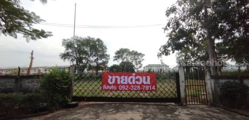 ที่ดิน ที่ดิน 1 ไร่ 50 วา ลำลูกกาคลอง 2 คูคต ปทุมธานี ขนาด = 450 ตาราง-วา 11250000 บาท ราคาไม่แรง