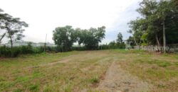 ที่ดิน ที่ดิน 1 ไร่ 50 วา ลำลูกกาคลอง 2 คูคต ปทุมธานี ขนาด = 450 ตาราง-วา 11250000 บาท ราคาไม่แรง