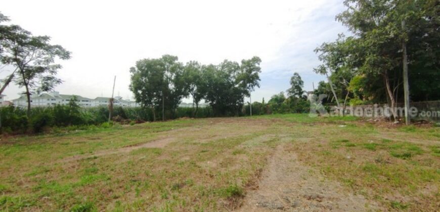 ที่ดิน ที่ดิน 1 ไร่ 50 วา ลำลูกกาคลอง 2 คูคต ปทุมธานี ขนาด = 450 ตาราง-วา 11250000 บาท ราคาไม่แรง