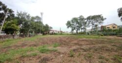 ที่ดิน ที่ดิน 1 ไร่ 50 วา ลำลูกกาคลอง 2 คูคต ปทุมธานี ขนาด = 450 ตาราง-วา 11250000 บาท ราคาไม่แรง