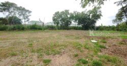 ที่ดิน ที่ดิน 1 ไร่ 50 วา ลำลูกกาคลอง 2 คูคต ปทุมธานี ขนาด = 450 ตาราง-วา 11250000 บาท ราคาไม่แรง