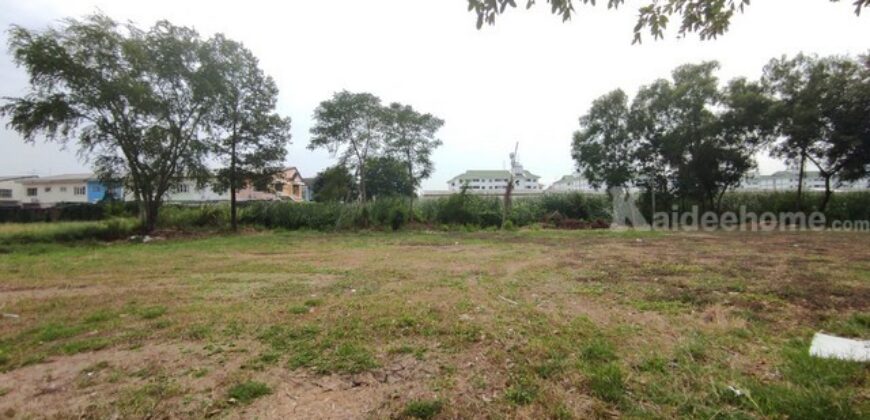 ที่ดิน ที่ดิน 1 ไร่ 50 วา ลำลูกกาคลอง 2 คูคต ปทุมธานี ขนาด = 450 ตาราง-วา 11250000 บาท ราคาไม่แรง