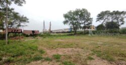 ที่ดิน ที่ดิน 1 ไร่ 50 วา ลำลูกกาคลอง 2 คูคต ปทุมธานี ขนาด = 450 ตาราง-วา 11250000 บาท ราคาไม่แรง