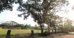 พื้นที่ดิน ที่ดินหมู่บ้านเปล่า รามอินทรา ม.ปัญญาอินทราเฟส 9 พื้นที่ = 513 sq.wa ไม่ไกลจาก Fashion Island, สนามกอล์ฟปัญญาอินทรา น่าอยู่ใกล้สิ่งอำนวยความสดวก กรุงเทพ