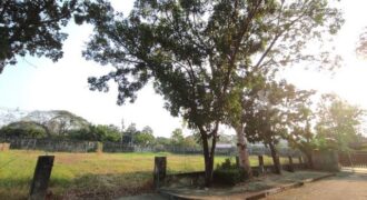 พื้นที่ดิน ที่ดินหมู่บ้านเปล่า รามอินทรา ม.ปัญญาอินทราเฟส 9 พื้นที่ = 513 sq.wa ไม่ไกลจาก Fashion Island, สนามกอล์ฟปัญญาอินทรา น่าอยู่ใกล้สิ่งอำนวยความสดวก กรุงเทพ