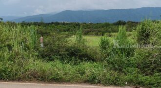 ขายที่ดินเขาใหญ่ 10 ไร่ หมูสี โป่งตาลอง ที่สูงเทควิวเขาใหญ่สวยชัด ติดถนนลาดยางเส้นสระน้ำใส ใกล้ธนะรัชต์ ใกล้ทอสคานา Toscana The forest แปลงสวยมาก วิวอุทยานเขาใหญ่เต็มตา 087-9074045