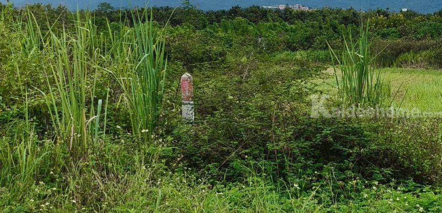 ขายที่ดินเขาใหญ่ 10 ไร่ หมูสี โป่งตาลอง ที่สูงเทควิวเขาใหญ่สวยชัด ติดถนนลาดยางเส้นสระน้ำใส ใกล้ธนะรัชต์ ใกล้ทอสคานา Toscana The forest แปลงสวยมาก วิวอุทยานเขาใหญ่เต็มตา 087-9074045