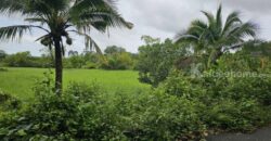 ขายที่ดินเปล่าสวยบรรยากาศดี อำเภอเมือง ตราด 3-3-89 ไร่