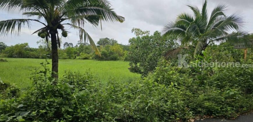 ขายที่ดินเปล่าสวยบรรยากาศดี อำเภอเมือง ตราด 3-3-89 ไร่