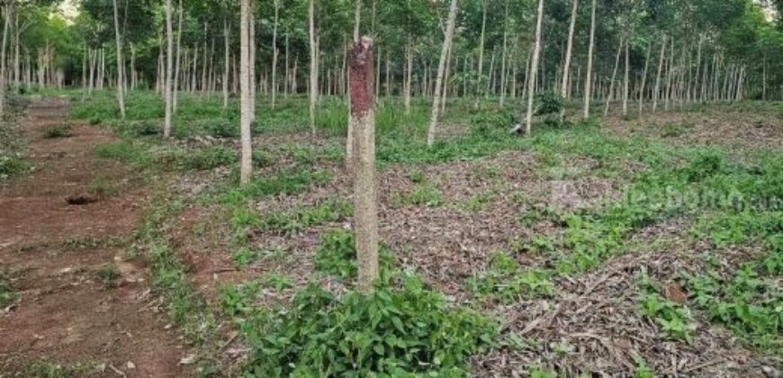 ขายบ้านพร้อมสวนยางพารา ทำเลทอง แหลมงอบ ตราด 13-0-59.8 ไร่