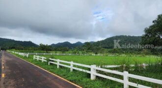 ขายที่คลองม่วง ปากช่อง เขาใหญ่ 2 ไร่ วิวเขาสวยมาก ใกล้ภูเขา วิวเขาล้อมรอบ ที่สูงบรรยากาศดี มีชุมชน เพื่อนบ้านตากอากาศ ไม่เปลี่ยว ใกล้เส้นหนองสาหร่ายปากช่อง เดินทางสะดวก 087-9074045