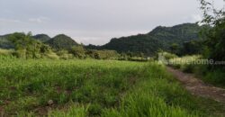 ด่วน ราคาร้อน ขายถูก ที่ดินเขาใหญ่ เขาวง หนองน้ำแดง ปากช่อง 6.5 ไร่ ที่สวย ติดถนนลาดยาง วิวเขาสวยล้อมรอบ ใกล้ถนนธนะรัชต์ ศูนย์ผู้นำซีพี ใกล้มอเตอร์เวย์ ห้างแม็คโคร ใกล้อุทยาน เจ้าของรีบขายด่วน 087-9074045