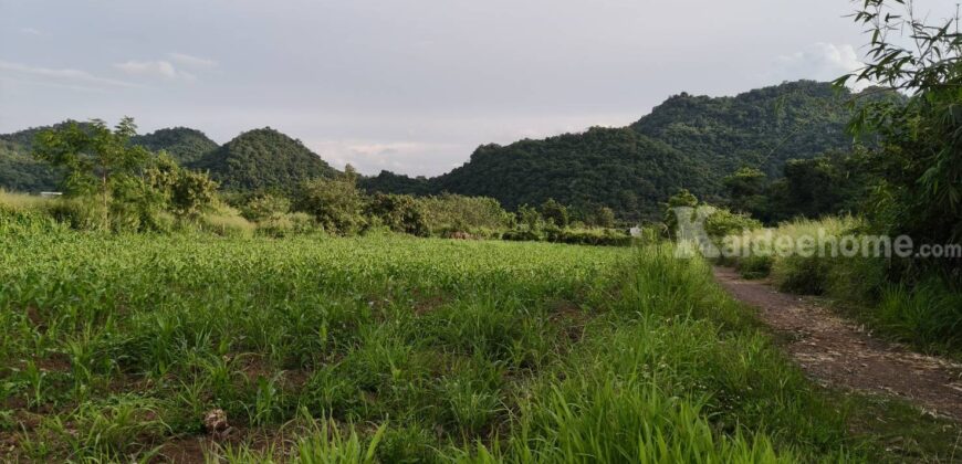 ด่วน ราคาร้อน ขายถูก ที่ดินเขาใหญ่ เขาวง หนองน้ำแดง ปากช่อง 6.5 ไร่ ที่สวย ติดถนนลาดยาง วิวเขาสวยล้อมรอบ ใกล้ถนนธนะรัชต์ ศูนย์ผู้นำซีพี ใกล้มอเตอร์เวย์ ห้างแม็คโคร ใกล้อุทยาน เจ้าของรีบขายด่วน 087-9074045