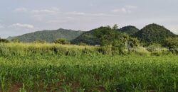 ด่วน ราคาร้อน ขายถูก ที่ดินเขาใหญ่ เขาวง หนองน้ำแดง ปากช่อง 6.5 ไร่ ที่สวย ติดถนนลาดยาง วิวเขาสวยล้อมรอบ ใกล้ถนนธนะรัชต์ ศูนย์ผู้นำซีพี ใกล้มอเตอร์เวย์ ห้างแม็คโคร ใกล้อุทยาน เจ้าของรีบขายด่วน 087-9074045