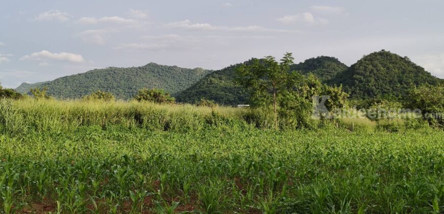 ด่วน ราคาร้อน ขายถูก ที่ดินเขาใหญ่ เขาวง หนองน้ำแดง ปากช่อง 6.5 ไร่ ที่สวย ติดถนนลาดยาง วิวเขาสวยล้อมรอบ ใกล้ถนนธนะรัชต์ ศูนย์ผู้นำซีพี ใกล้มอเตอร์เวย์ ห้างแม็คโคร ใกล้อุทยาน เจ้าของรีบขายด่วน 087-9074045