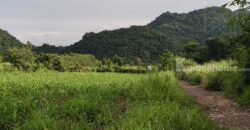 ด่วน ราคาร้อน ขายถูก ที่ดินเขาใหญ่ เขาวง หนองน้ำแดง ปากช่อง 6.5 ไร่ ที่สวย ติดถนนลาดยาง วิวเขาสวยล้อมรอบ ใกล้ถนนธนะรัชต์ ศูนย์ผู้นำซีพี ใกล้มอเตอร์เวย์ ห้างแม็คโคร ใกล้อุทยาน เจ้าของรีบขายด่วน 087-9074045