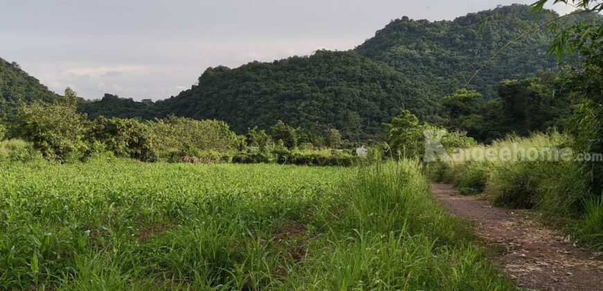 ด่วน ราคาร้อน ขายถูก ที่ดินเขาใหญ่ เขาวง หนองน้ำแดง ปากช่อง 6.5 ไร่ ที่สวย ติดถนนลาดยาง วิวเขาสวยล้อมรอบ ใกล้ถนนธนะรัชต์ ศูนย์ผู้นำซีพี ใกล้มอเตอร์เวย์ ห้างแม็คโคร ใกล้อุทยาน เจ้าของรีบขายด่วน 087-9074045