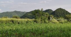 ด่วน ราคาร้อน ขายถูก ที่ดินเขาใหญ่ เขาวง หนองน้ำแดง ปากช่อง 6.5 ไร่ ที่สวย ติดถนนลาดยาง วิวเขาสวยล้อมรอบ ใกล้ถนนธนะรัชต์ ศูนย์ผู้นำซีพี ใกล้มอเตอร์เวย์ ห้างแม็คโคร ใกล้อุทยาน เจ้าของรีบขายด่วน 087-9074045