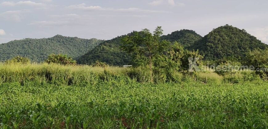 ด่วน ราคาร้อน ขายถูก ที่ดินเขาใหญ่ เขาวง หนองน้ำแดง ปากช่อง 6.5 ไร่ ที่สวย ติดถนนลาดยาง วิวเขาสวยล้อมรอบ ใกล้ถนนธนะรัชต์ ศูนย์ผู้นำซีพี ใกล้มอเตอร์เวย์ ห้างแม็คโคร ใกล้อุทยาน เจ้าของรีบขายด่วน 087-9074045