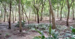 ที่ดินแปลงใหญ่ พร้อมสวนยาง อำเภอสอยดาว จันทบุรี 58-3-30 ไร่